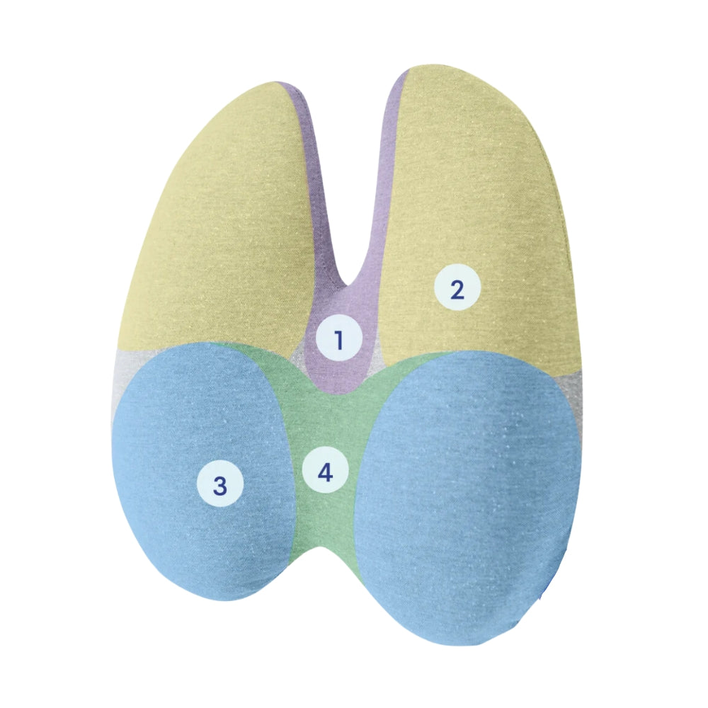 Comforta. - Coussin de Siège Orthopédique