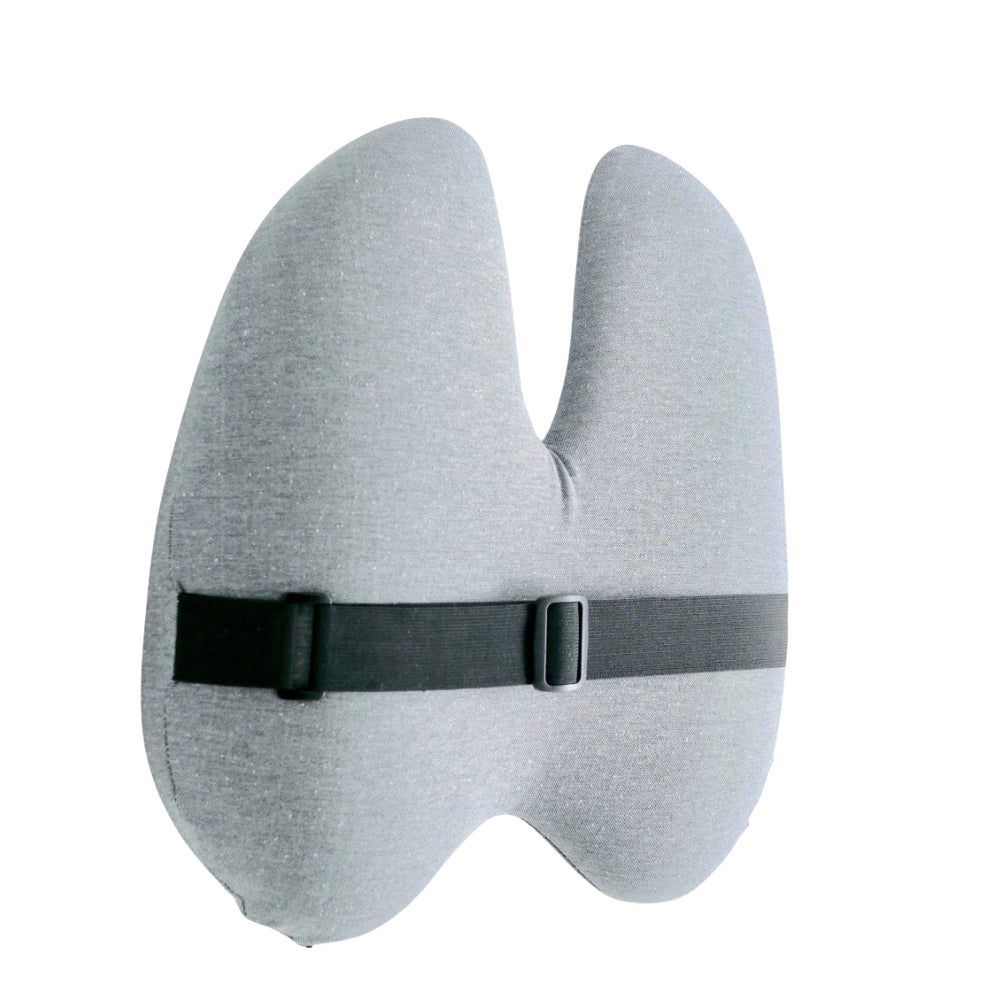 Comforta. - Coussin de Siège Orthopédique