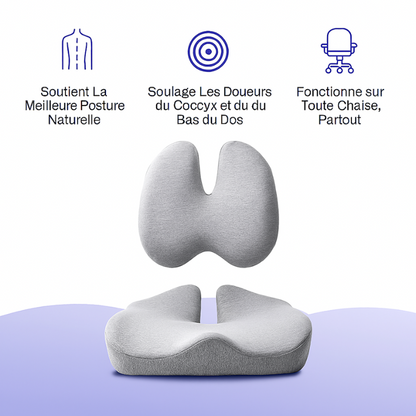 Comforta. - Coussin de Siège Orthopédique